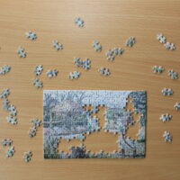 Wie bei einem großen Puzzle: es macht große Freude, zu sehen, wie sich das Bild weiterentwickelt.