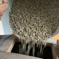 Jedes Mal ein besonderes Erlebnis, wenn der Rohkaffee vorübergehend in das Whiskyfass „umzieht“; schon allein der Duft ist