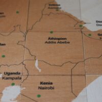 Domiemo aus Holz - Kontinente - Afrika – Bild 4