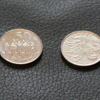 Kettenanhänger - 50 Äthiopische Centimes "Löwe" – Bild 2