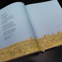 Kochbuch „LEKKER!" – Bild 5