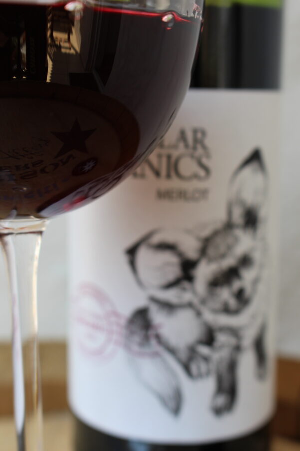 Stellar Organics - Merlot – Bild 2
