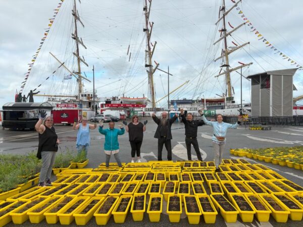 Limitierte Beedabei XL-Foto-Edition "Sail 2025 - Segel setzen" Bremerhaven - handsigniert – Bild 7