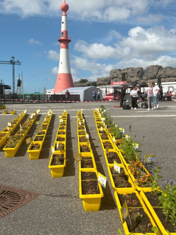 Limitierte Beedabei XL-Foto-Edition "Sail 2025 - Segel setzen" Bremerhaven - handsigniert – Bild 11