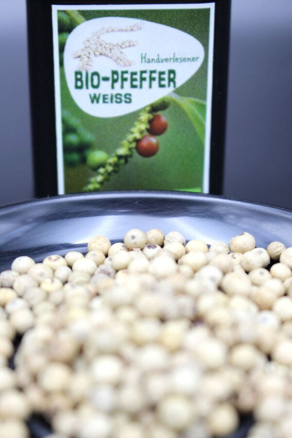 Weißer Pfeffer (Bio) - Indonesien – Bild 3