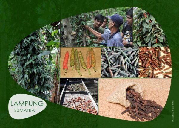 Gewürzbox "Pfeffer" - Indonesien – Bild 8